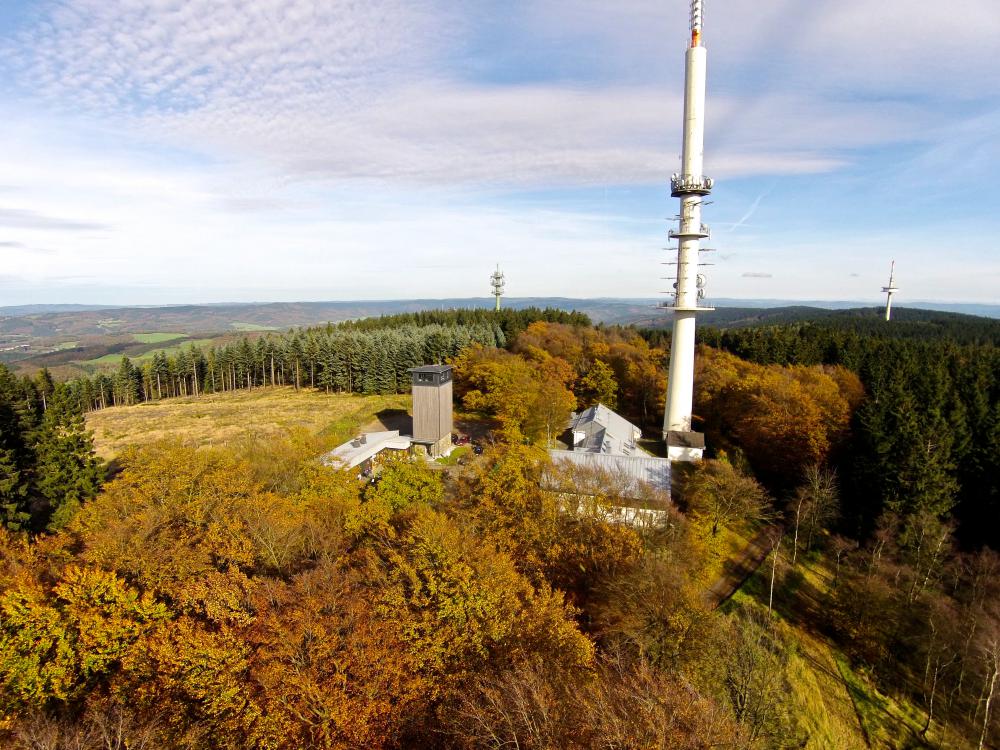 Fernmeldeturm und Aussichtssturm vor einer Waldlandschaft